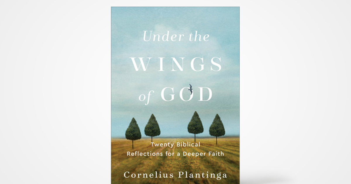 Under the Wings of God Twenty Biblical Reflections for a Deeper Faith